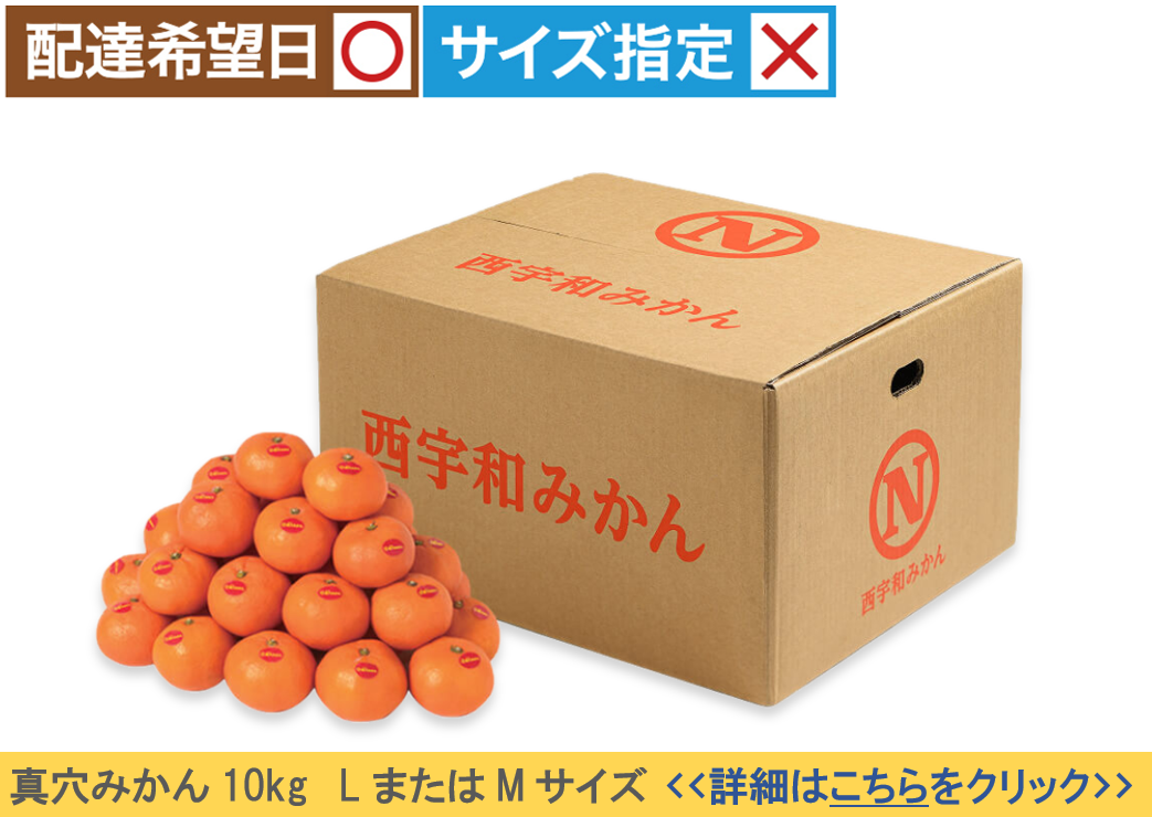 真穴みかん10kg<br><LまたはMサイズ>