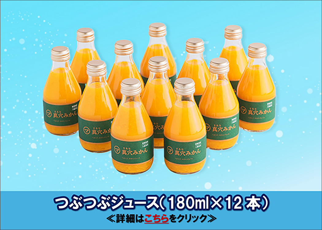 真穴みかんのつぶつぶジュース(180ml×12本)