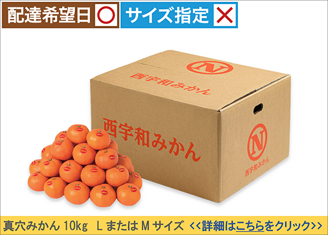 真穴みかん 10kg<LまたはMサイズ>
